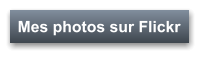 Mes photos sur Flickr