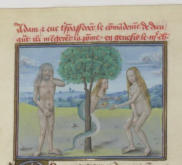 La Faute