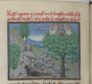 Le Buisson ardent 