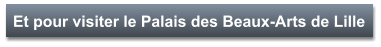 Et pour visiter le Palais des Beaux-Arts de Lille