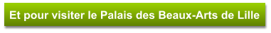 Et pour visiter le Palais des Beaux-Arts de Lille