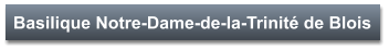 Basilique Notre-Dame-de-la-Trinité de Blois