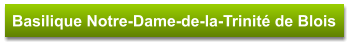 Basilique Notre-Dame-de-la-Trinité de Blois