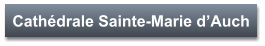 Cathédrale Sainte-Marie d’Auch