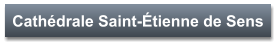 Cathédrale Saint-Étienne de Sens