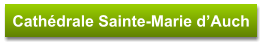 Cathédrale Sainte-Marie d’Auch
