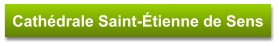 Cathédrale Saint-Étienne de Sens