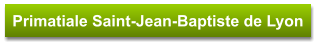 Primatiale Saint-Jean-Baptiste de Lyon