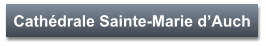 Cathédrale Sainte-Marie d’Auch