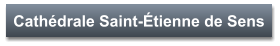 Cathédrale Saint-Étienne de Sens