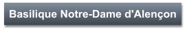 Basilique Notre-Dame d'Alençon
