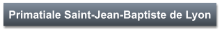 Primatiale Saint-Jean-Baptiste de Lyon