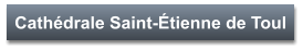 Cathédrale Saint-Étienne de Toul