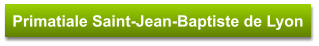 Primatiale Saint-Jean-Baptiste de Lyon