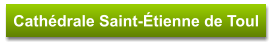 Cathédrale Saint-Étienne de Toul