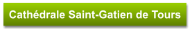 Cathédrale Saint-Gatien de Tours