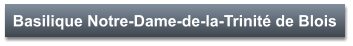 Basilique Notre-Dame-de-la-Trinité de Blois