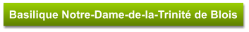 Basilique Notre-Dame-de-la-Trinité de Blois