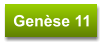 Genèse 11