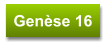 Genèse 16