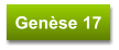 Genèse 17